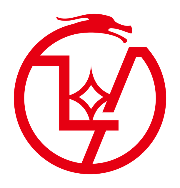 LONG IENG 龍贏天下有限公司 logo
